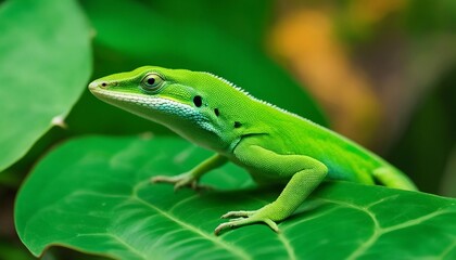 Green Anole on a Tropical Leaf, a green anole lizard displaying its dewlap on a vibrant tropical 