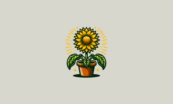 sun flower on pot vector flat design