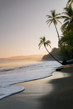 Sunset on a tropical beach with palm trees, Baya Drake, Osa peninsula, Costa Rica