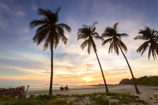 People horse riding on a tropical beach at sunset, Costa Rica