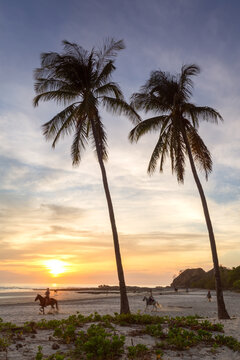 People horse riding on a tropical beach at sunset, Costa Rica