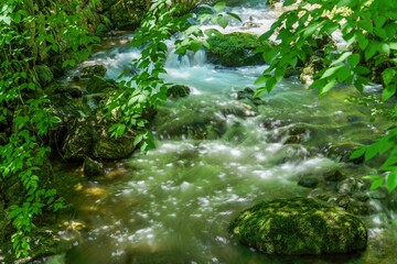 Fototapeta na wymiar 木漏れ日浴びて輝く新緑に包まれた渓流の情景
