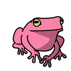 cute pink frog transparent background vector illustration