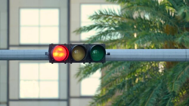 Red traffic light regulating American street traffic in Miami, Florida. USA transportation.