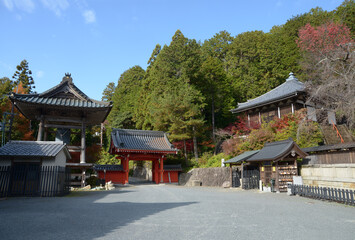 Obraz premium 秋の本圀寺 境内 京都市山科区