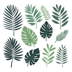 Fototapeta na wymiar Exotic leaves set tropical leaf collection vector illustration