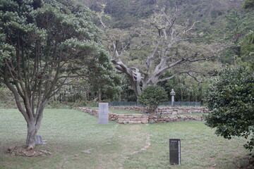 신안 흑산도무심사지