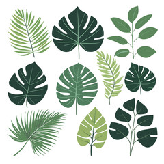 Exotic leaves set tropical leaf collection vector illustration