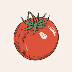Red tomato illustration vector design