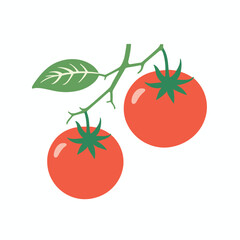Red tomato illustration vector design
