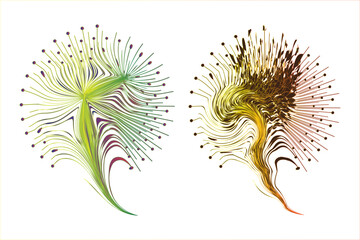 Decorative zen tangle feather boho style colorful for tattoo.