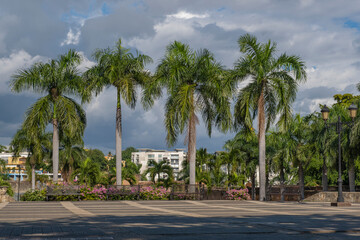 Obraz premium Tall palm trees at main square park in historical city center Zona Colonial of Santo Domingo, Dominican Republic.