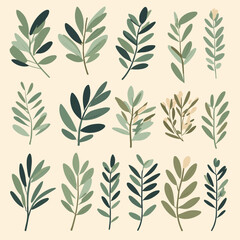 Olive branches illustration leaves set vector collection
