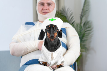 Bandaged man with plaster cast, concussion sits on wheelchair in cozy clinic holds dog in medical cap, uniform on his knees. Life, health insurance against injuries, accidents. Family support, care 
