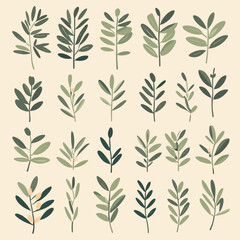 Olive branches illustration leaves set vector collection