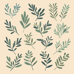 Olive branches illustration leaves set vector collection