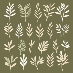 Olive branches illustration leaves set vector collection