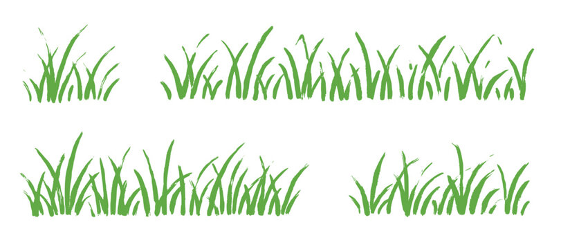 Grass doodle ink brush sketch set. Hand drawn vector grass field grunge texture brush background. Doodle herb, organic pattern elements. Vector illustration