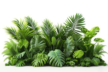 3D render of tropical plants isolated on white background