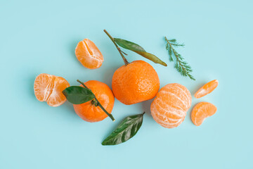 Tasty tangerines with leaves and thuja branch on blue background