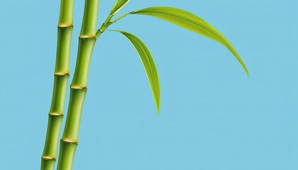 Elegant Vector Art of Lucky Bamboo on Blue