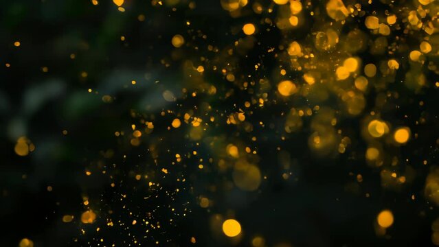 Golden lights are blurred and floating against a dark background. Bright spots are scattered randomly, emitting a soft glow.
