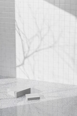 A background rich in shading that you can use in your designs. Textured walls and podium with sunlight shining through. 3d rendering.