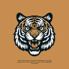 vector tiger head illustration
