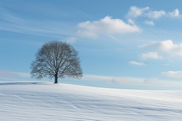 Fototapeta na wymiar One tree in a snow field in winter