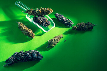 Medical cannabis marijuana, jointed herb drugs.