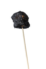 Burnt marshmallow on a stick