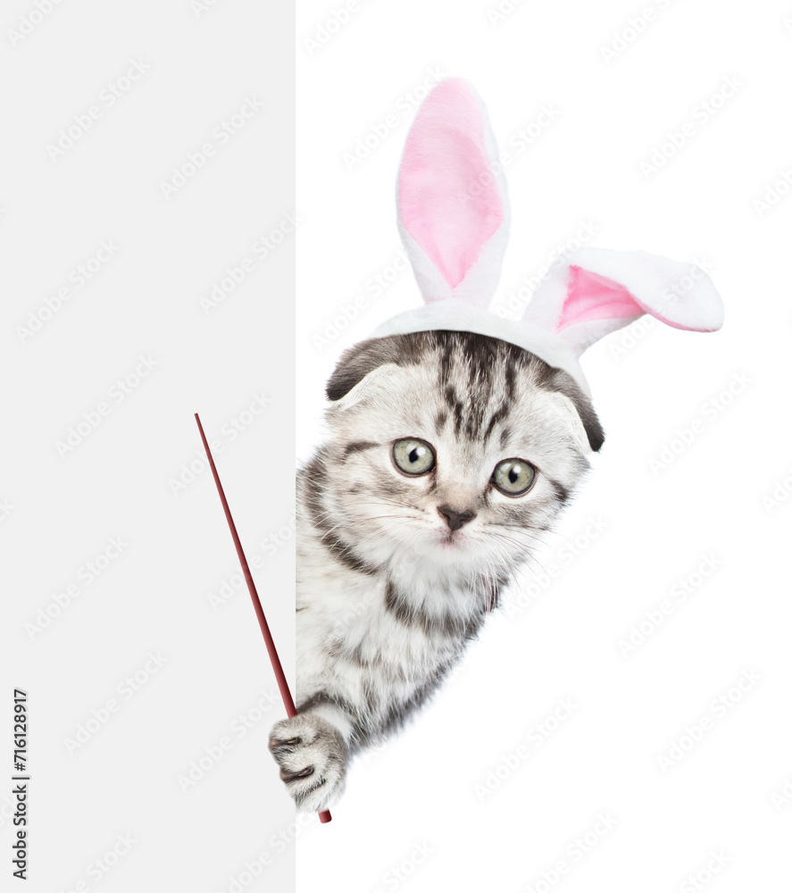 Aufkleber Cute tabby kitten wearing easter rabbits ears looks from behind empty white banner and points on empty space. Isolated on white background