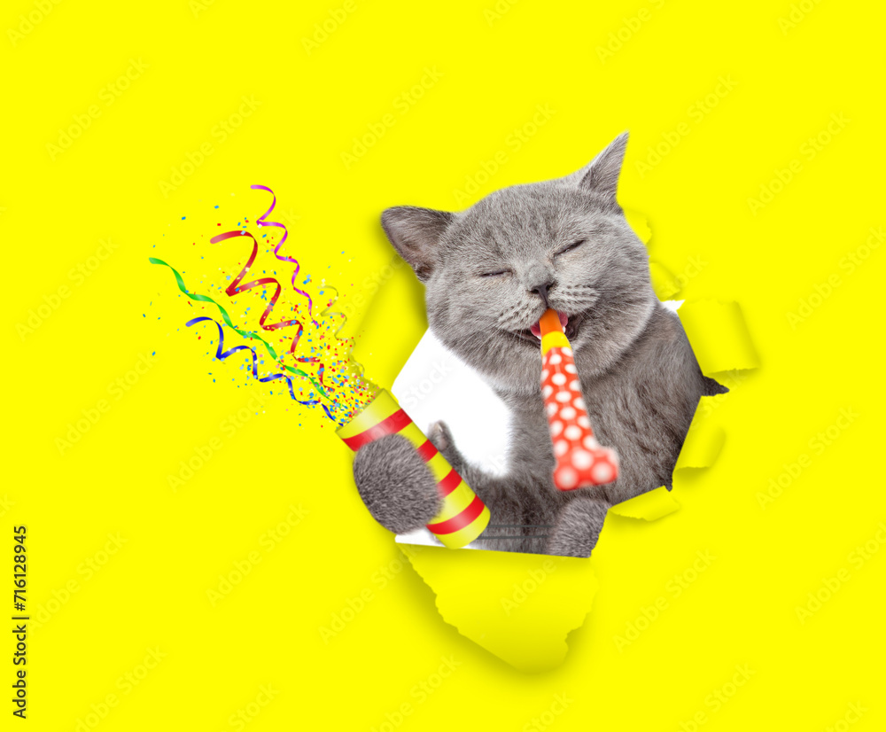 Poster Happy cat looks through the hole in yellow paper, blows in party horn and holds exploding firecracker