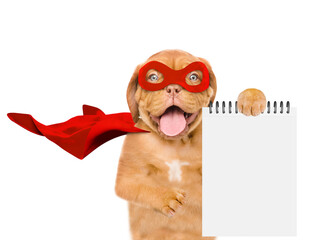Funny Mastiff puppy wearing superhero costume shows empty list. Isolated on white background © Ermolaev Alexandr