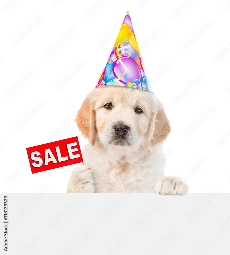Poster golden retriever puppy wearing party cap shows signboard with labeled 