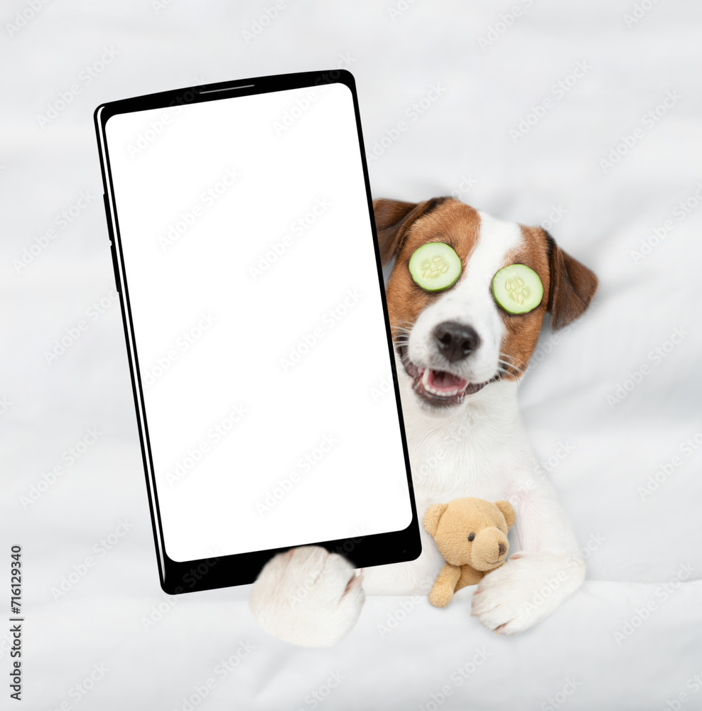 Aufkleber jack russell terrier puppy with towel on it head and with a piece of cucumber on it eyes relaxing on the bed at home and showing big smartphone with white blank screen in it paw. Top down view