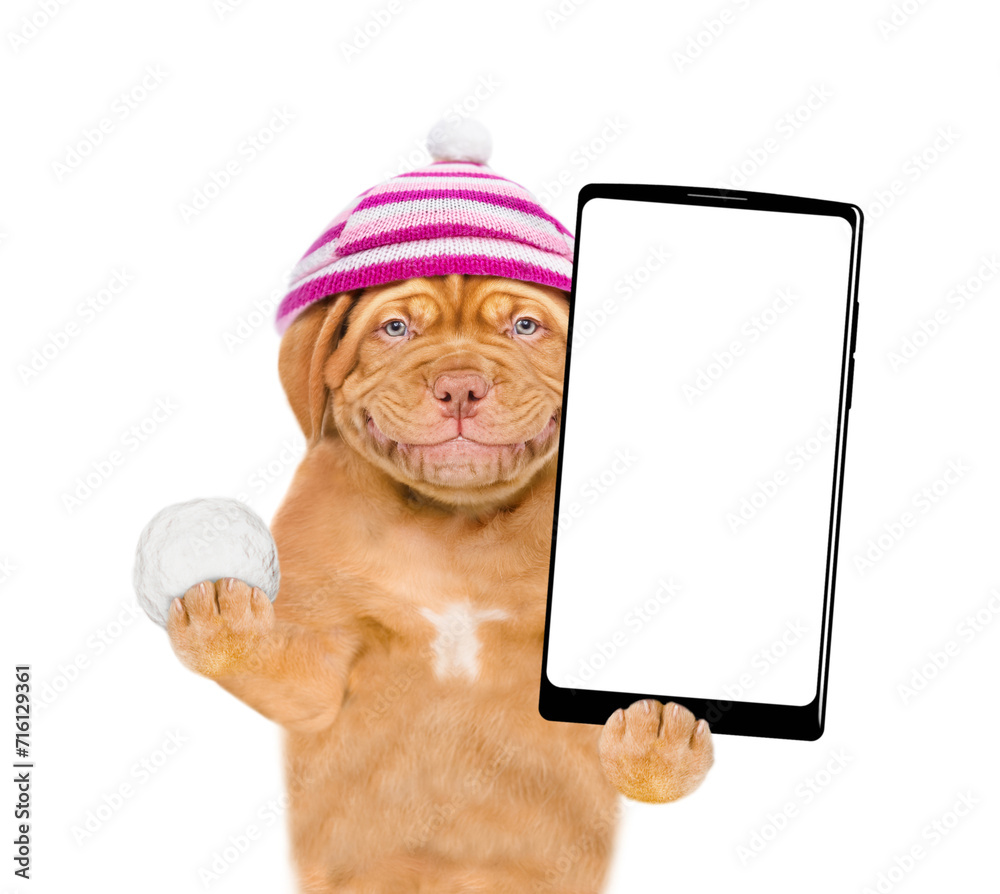 Poster happy puppy wearing a warm hat with pompon holds snowball and holds smartphone with white blank scre