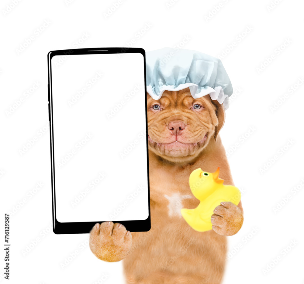 Poster smiling mastiff puppy wearing shower cap holds rubber duck and shows big smartphone with white blank