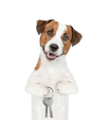 Smart Jack russell terrier puppy holds in his paw keys to a new apartment. Isolated on white...