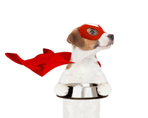 Funny jack russell terrier puppy wearing superhero costume holds empty bowl and looks away on empty space. Isolated on white background