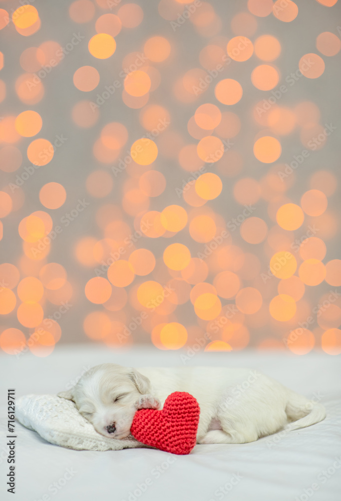 Poster tiny white lapdog puppy sleeps on a bed at home with red heart. festive blurred background. empty sp