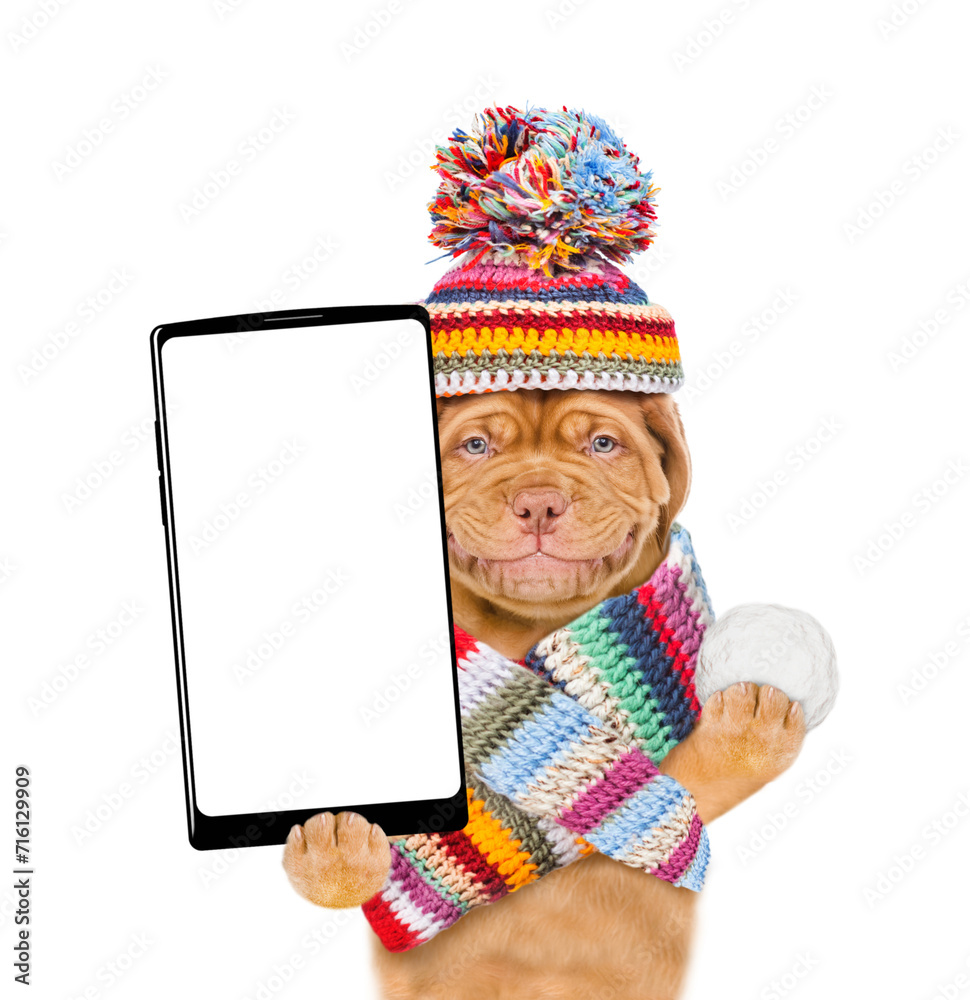 Poster smiling puppy wearing a warm hat with pompon and knitted woolen scarf holds snowball and holds smart