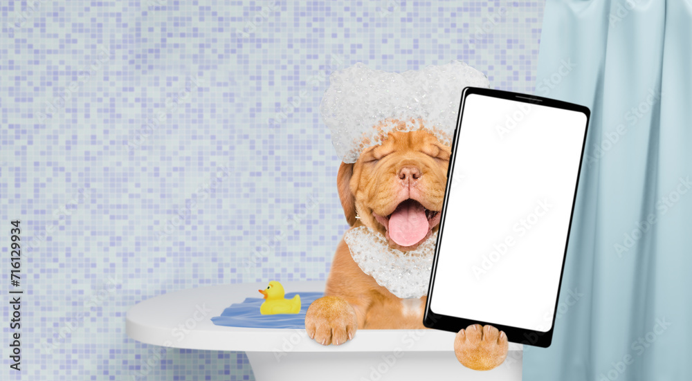 Poster happy mastiff puppy with eye closed covered in soap bubble takes the bath and shows big smartphone w