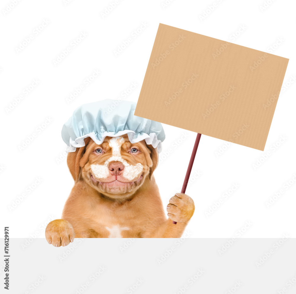 Poster happy mastiff puppy wearing shower cap with cream on it face holds empty placard above empty white b