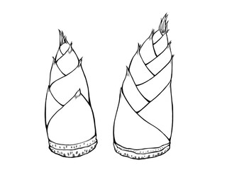 たけのこ（孟宗竹）の線画イラストセット