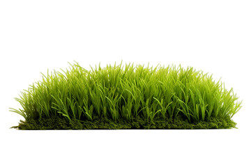 a green patch of grass is shown with a green, Isolated on transparent PNG background, Generative ai