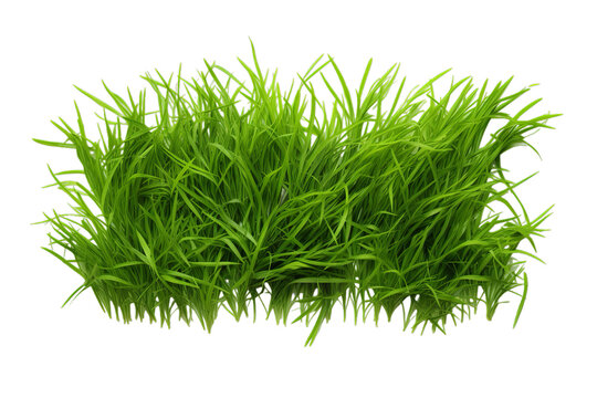 a green patch of grass is shown with a green, Isolated on transparent PNG background, Generative ai