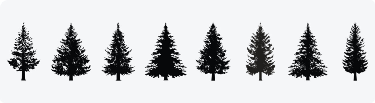 pine trees silhouette. tree silhouette. Vector illustration.