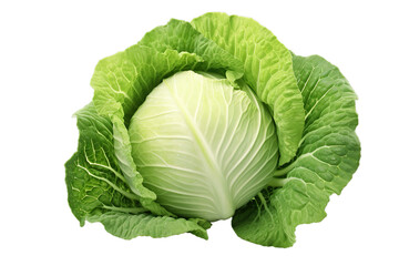 a picture of a cabbage, Isolated on transparent PNG background, Generative ai