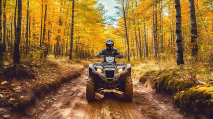 ATV speeding through forest.